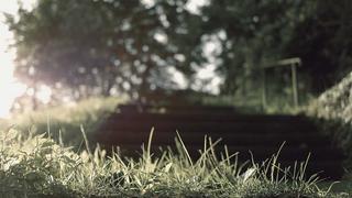 英超联赛精彩进球集锦，曼联对阵利物浦最佳瞬间